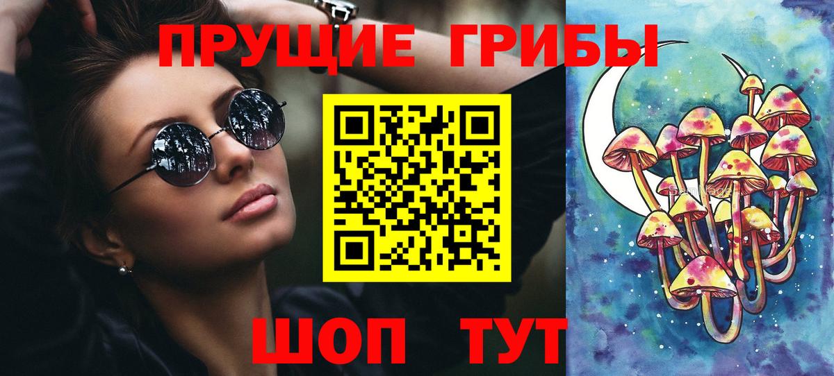 Псилоцибиновые грибы Psilocybine cubensis Апатиты